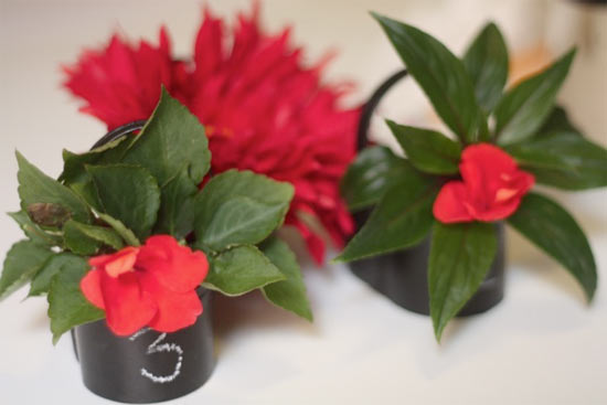 Mark the baskets with table numbers or names and fill with seasonal flowers
