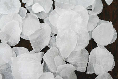 White Rose Petals. Silk White Rose Petals