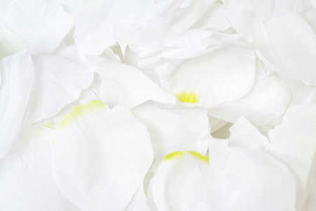 White Rose Petals. 8oz Bulk Bag White Silk Rose