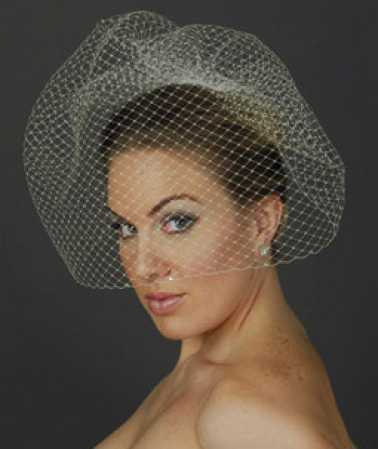Long French Ivory Wedding Birdcage Veil with Comb Wedding Tiaras and Veils 