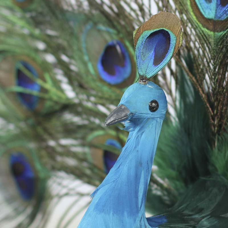 peacock wedding decorations