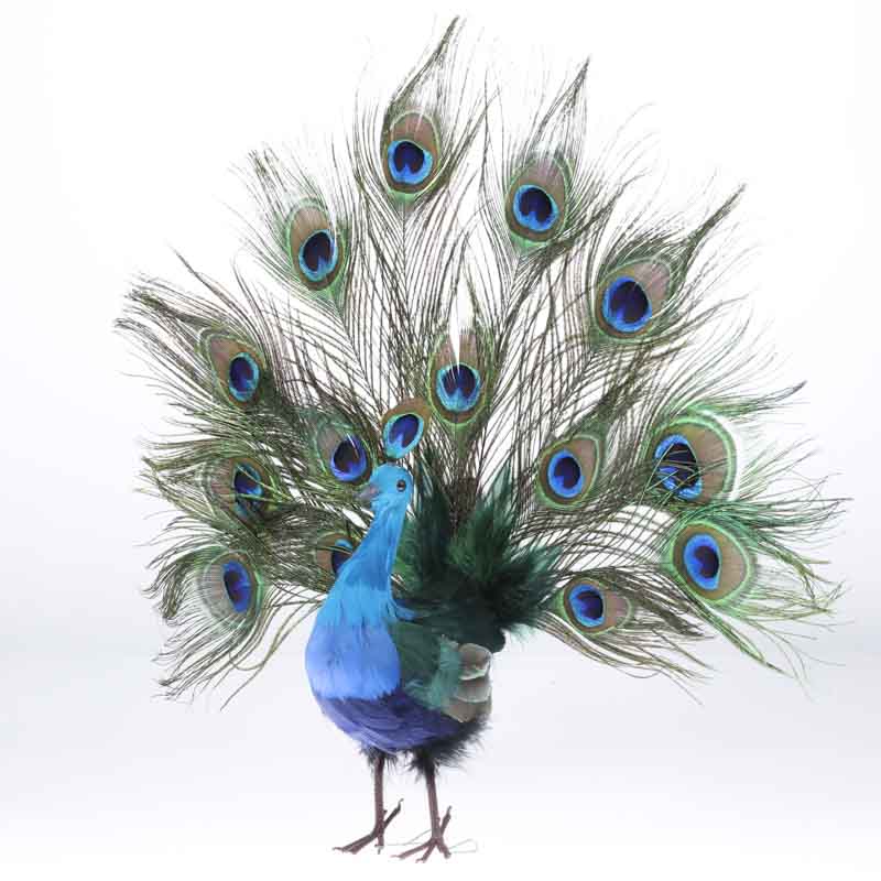 Peacock Birds Butterflies Birds Nests Wedding Decorations 