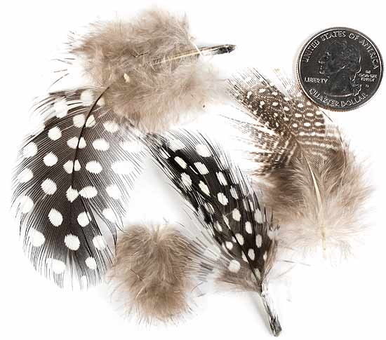 Brown Guinea Feathers - 3 Grams - Feather Boas - Craft Feathers - Basic 