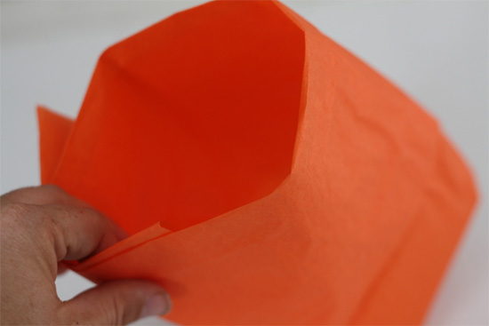 Tissue_Paper_Pumpkin_Favors3