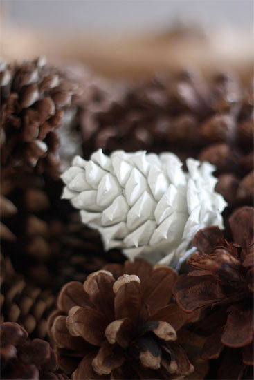 Paint_Dipped_Pinecones5