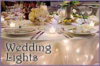 Wedding Lights