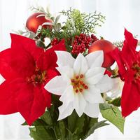 Christmas Holiday Florals