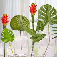Tropical Plants + Flowers