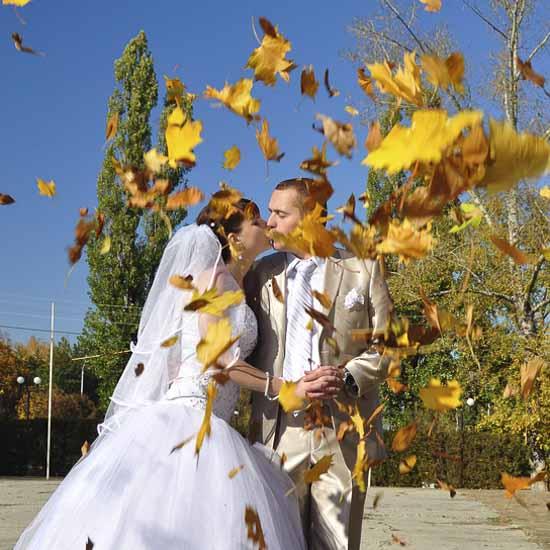 100 Mixed Fall Colors Silk Maple Autumn Wedding Favors  