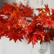 Artificial Autumn Maple Leaf Garland - Garlands - Floral Supplies ...