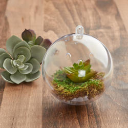 80mm Clear Acrylic Fillable Ball with Holes Ornament