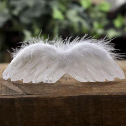 White Real Feather Angel Wings