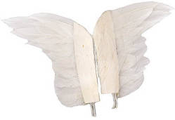 White Feather Angel Wings - True Vintage