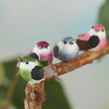 Miniature Woodland Mushroom Birds