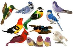 Assorted Artificial Birds