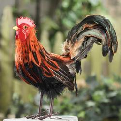 Artificial Old English Game Rooster