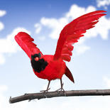 Large Artificial Cardinal