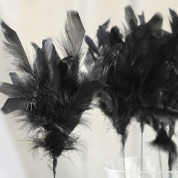 Black Fuzzy Feather Sprays
