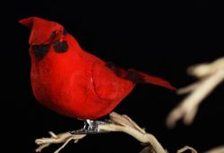 Feathered Artificial Cardinal