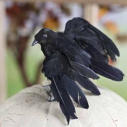 Small Flying Artificial Crow