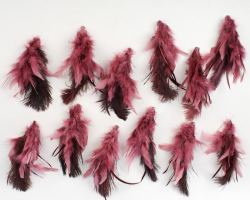 Pack of 12 Rose Natural Feather Clips