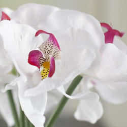 White with Fuchsia Center Artificial Orchid Bundle