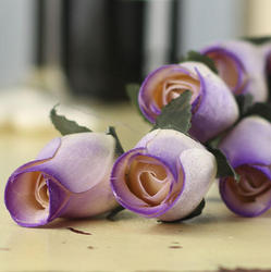 Variegated Ivory and Purple Wood Rose Bud Stems