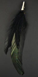 Clip-in Dream Catcher Feathers