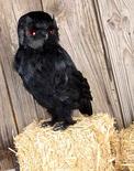 Lifesize Black Standing Artificial Owl