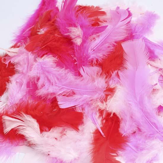 Red, Pink and White Flat Turkey Feathers - Feathers - Basic Craft ...