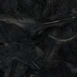 Black Natural Loose Marabou Feathers