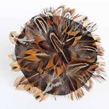 Pheasant Feather Brooch