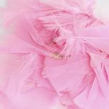 Strawberry Pink Natural Loose Turkey Feathers