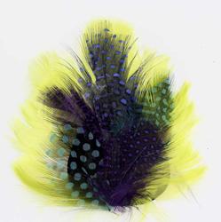 Petite Chartreuse and Jewel Toned Feather Hackle Pad