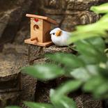 Miniature Fairy Garden Birdhouse