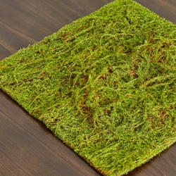 Artificial Green Water Sphagnum Moss Sheet