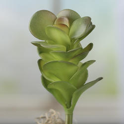 Artificial Kalanchoe Succulent Pick