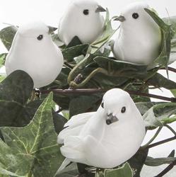 White Feathered Mushroom Doves