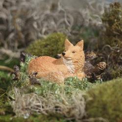 Resting Forest Fox
