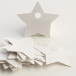 Blank Star Paper Tags