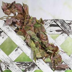Artificial Grape Leaf Bush