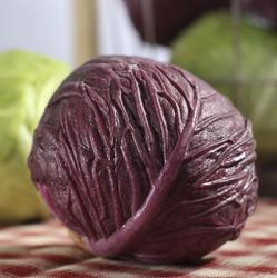 Market Fresh Artificial Head of Red Cabbage