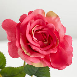 Beauty Pink Artificial Open Rose Spray Bundle