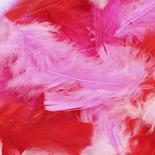 Red, Pink and White Flat Turkey Feathers
