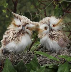 Brown Artificial Owls