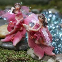 Miniature Fuchsia Fairy