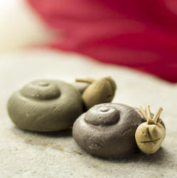 Miniature Garden Snails