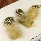 Yellow and Black Guinea Feathers
