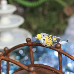 Miniature Meadowlark Bird