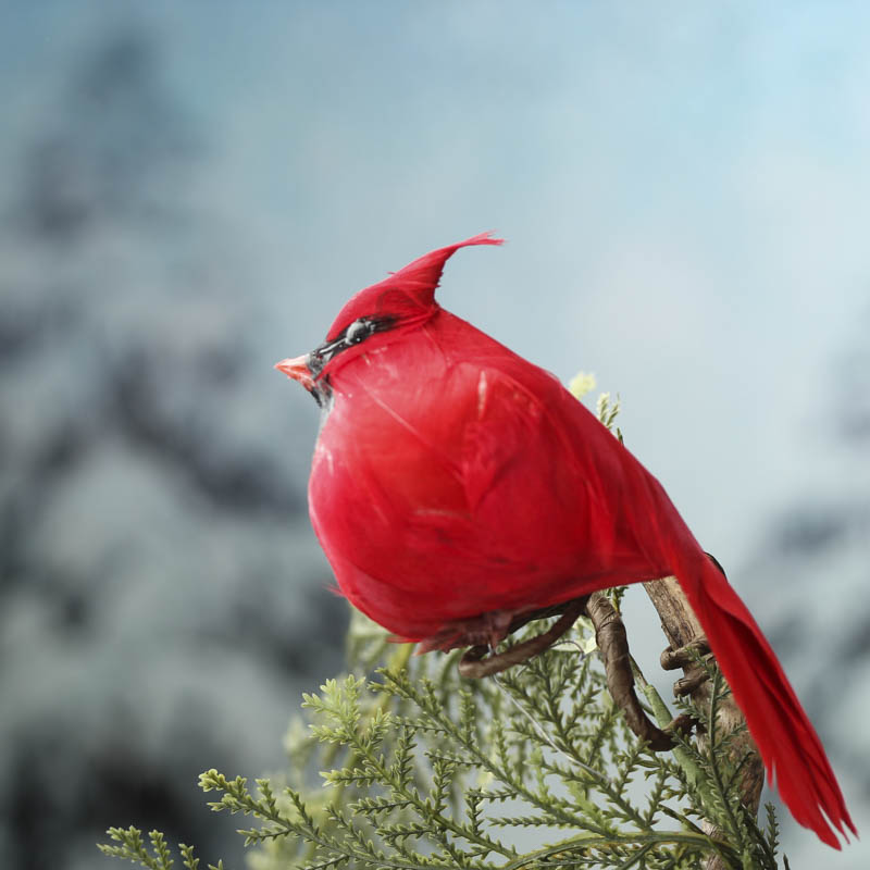 Realistic Artificial Plump Cardinal - Birds & Butterflies - Basic Craft ...